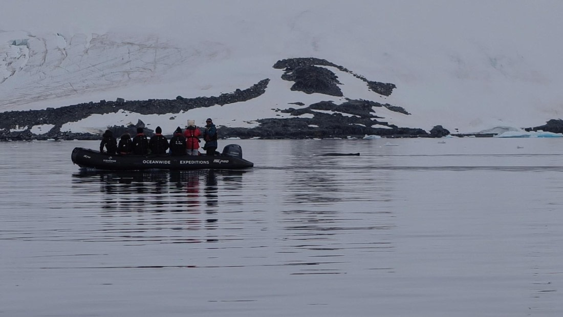 HDS26-26, Day 6, IMG_20260113_113057 © Unknown photographer - Oceanwide Expeditions.jpg