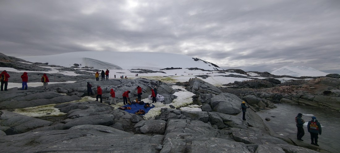 HDS26-26, Day 6, IMG_20260113_144242 © Unknown photographer - Oceanwide Expeditions.jpg