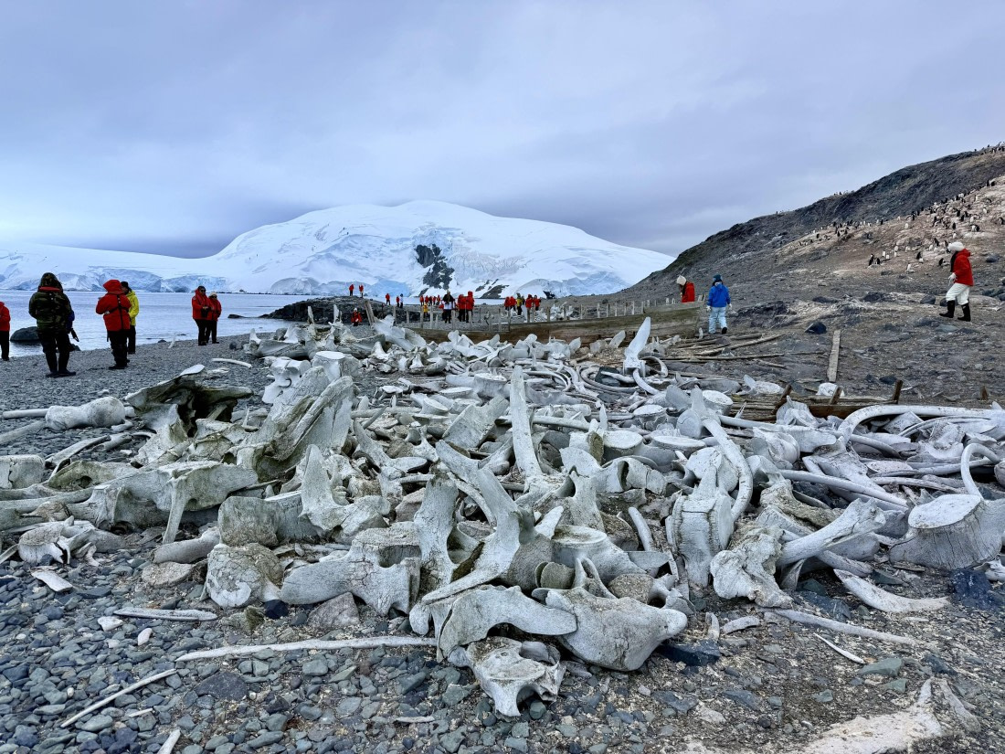 HDS26-26, Day 7, IMG_1831_Hana_(4) © Hana Spickova - Oceanwide Expeditions.jpg