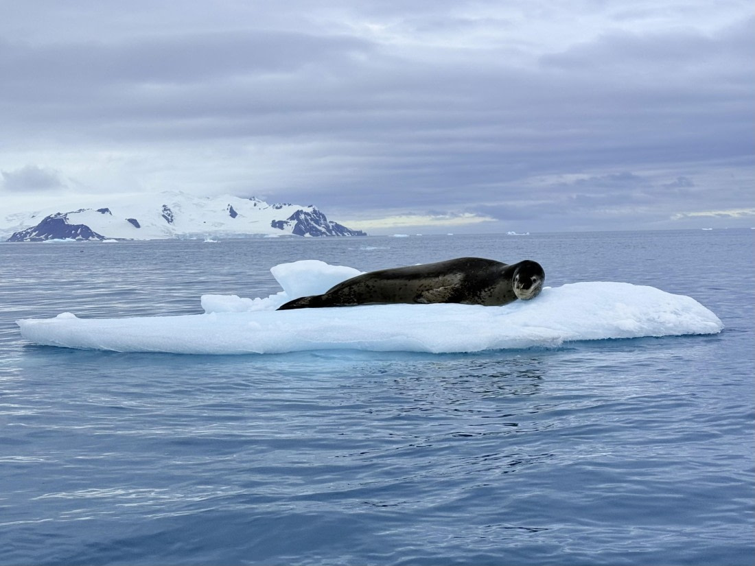 HDS26-26, Day 8, IMG_1845_Hana_(5) © Hana Spickova - Oceanwide Expeditions.jpg