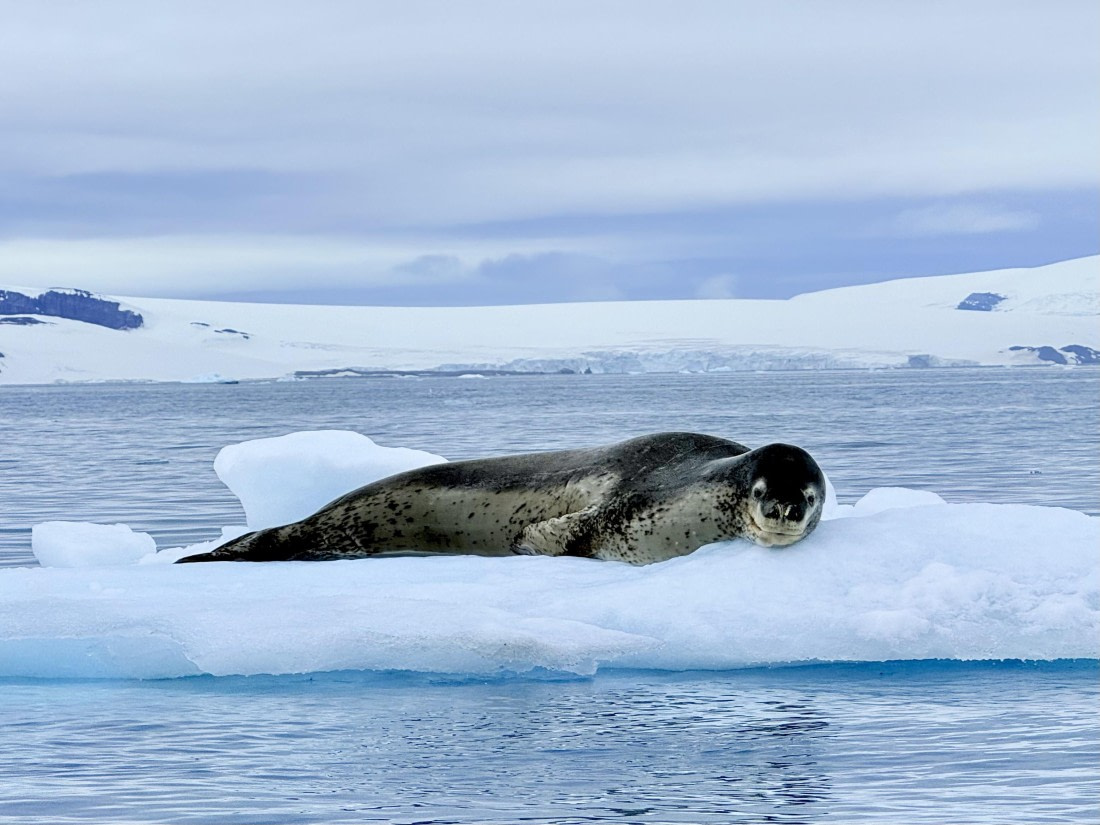 HDS26-26, Day 8, IMG_1845_Hana_(7) © Hana Spickova - Oceanwide Expeditions.jpg