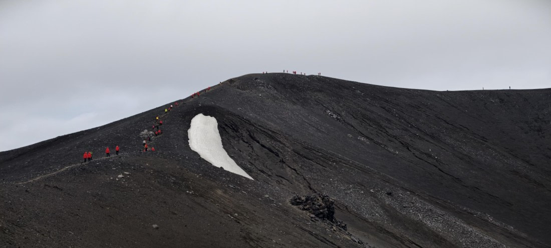 HDS26-26, Day 8, IMG_20260115_082413 © Unknown photographer - Oceanwide Expeditions.jpg