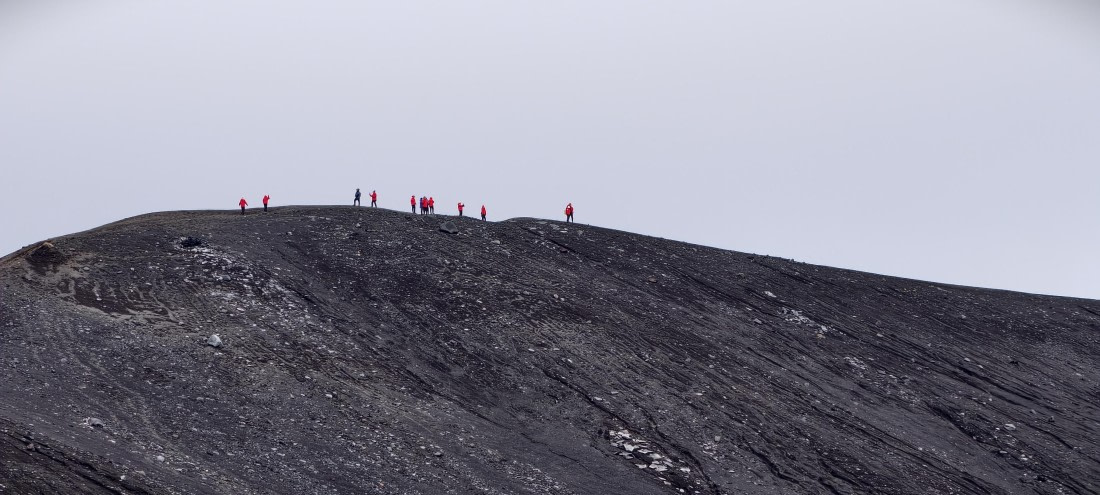 HDS26-26, Day 8, IMG_20260115_082416 © Unknown photographer - Oceanwide Expeditions.jpg