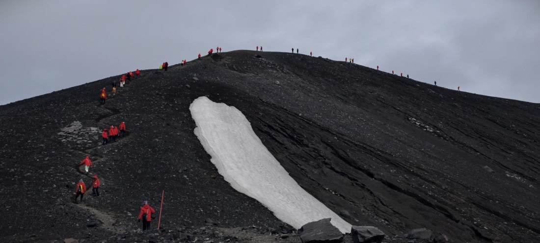 HDS26-26, Day 8, IMG_20260115_082736 © Unknown photographer - Oceanwide Expeditions.jpg
