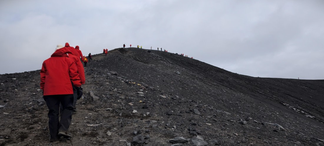 HDS26-26, Day 8, IMG_20260115_083120 © Unknown photographer - Oceanwide Expeditions.jpg