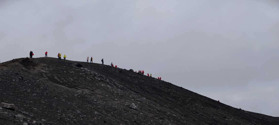 HDS26-26, Day 8, IMG_20260115_083122 © Unknown photographer - Oceanwide Expeditions.jpg