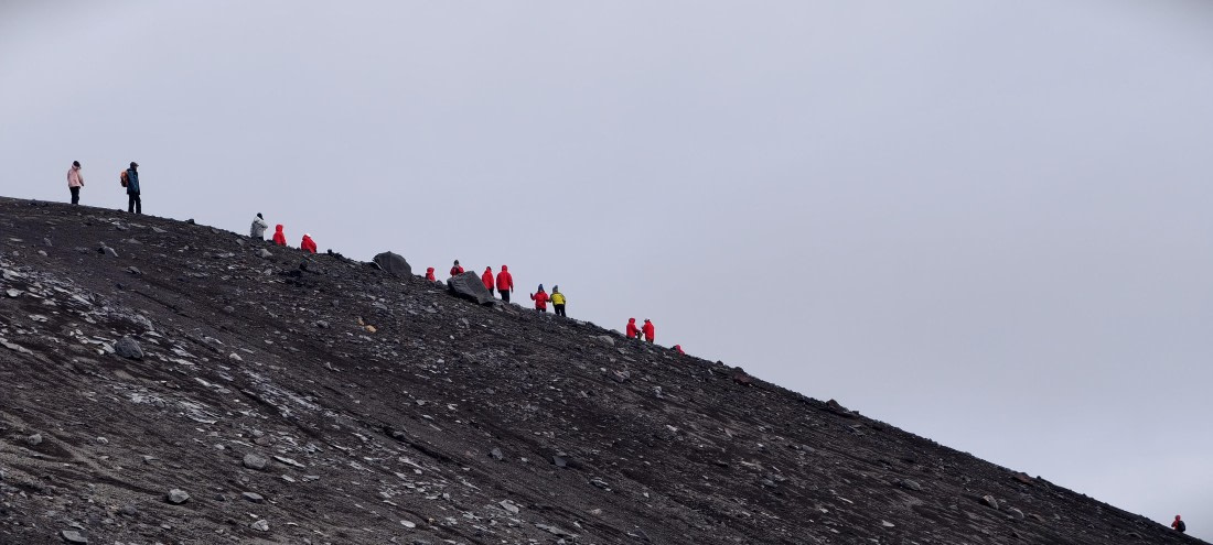 HDS26-26, Day 8, IMG_20260115_083126 © Unknown photographer - Oceanwide Expeditions.jpg