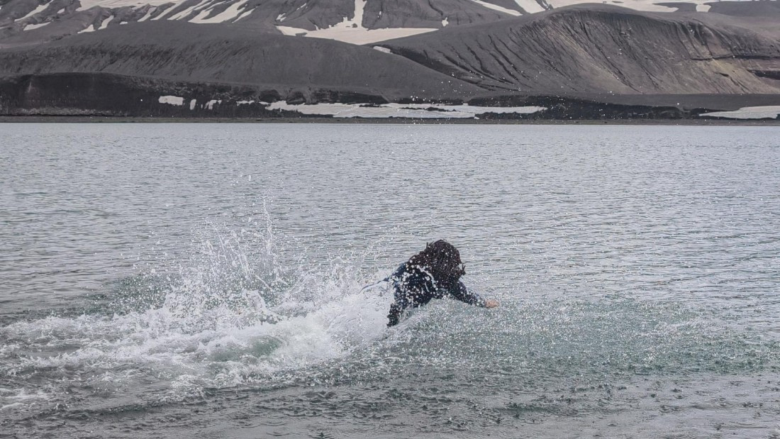 HDS26-26, Day 8, IMG_20260115_111119_1 © Unknown photographer - Oceanwide Expeditions.jpg