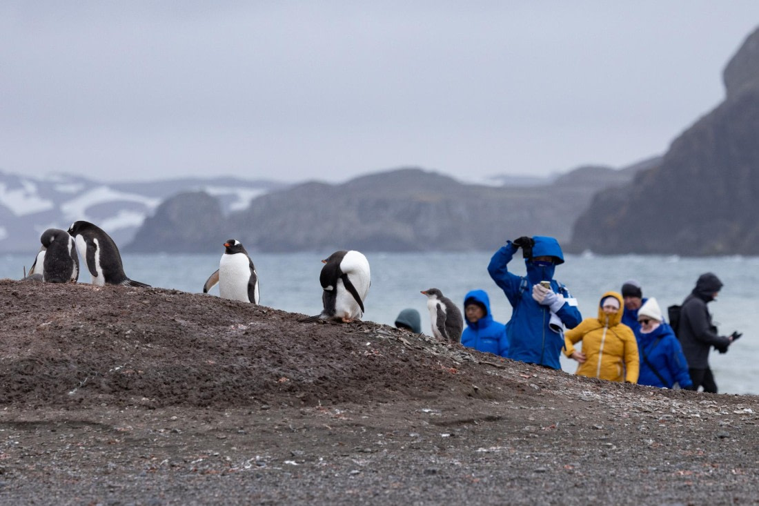PLA26-26, Day 4, 4Q9A6240-2.jpg © Unknown Photographer - Oceanwide Expeditions.jpg