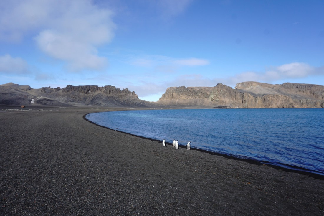 PLA26-26, Day 4, DSC08525.JPG © Unknown Photographer - Oceanwide Expeditions.JPG