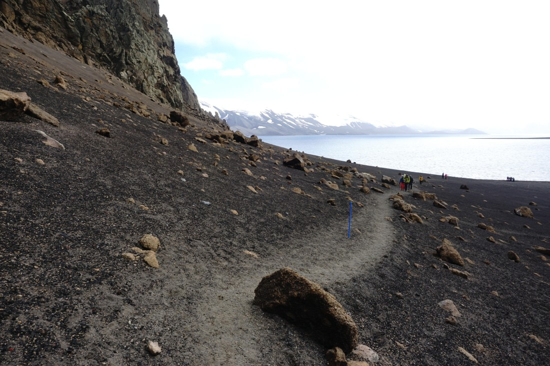 PLA26-26, Day 4, DSC08532.JPG © Unknown Photographer - Oceanwide Expeditions.JPG