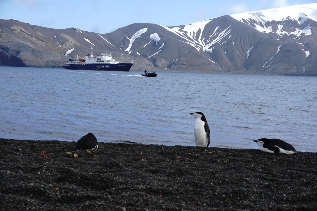 PLA26-26, Day 4, DSC08545.JPG © Unknown Photographer - Oceanwide Expeditions.JPG