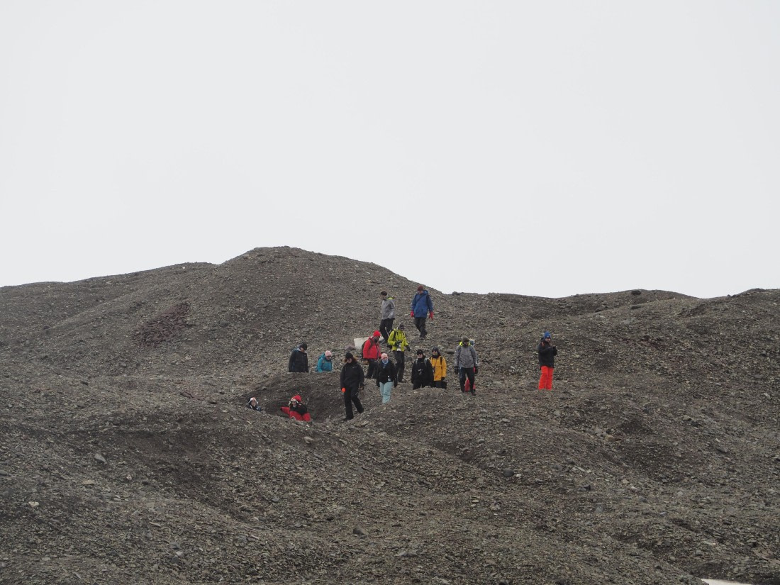 PLA26-26, Day 4, IMG_7679.JPG © Unknown Photographer - Oceanwide Expeditions.JPG