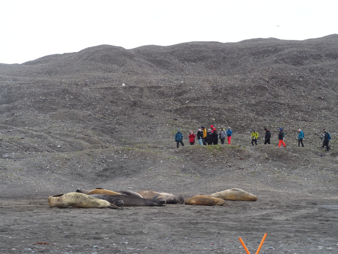 PLA26-26, Day 4, IMG_7683.JPG © Unknown Photographer - Oceanwide Expeditions.JPG