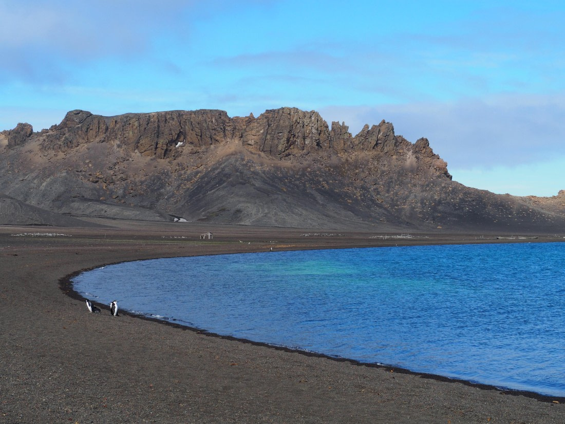 PLA26-26, Day 4, IMG_7697.JPG © Unknown Photographer - Oceanwide Expeditions.JPG