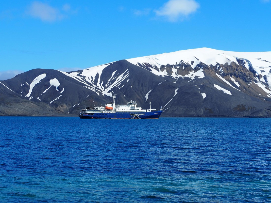 PLA26-26, Day 4, IMG_7698.JPG © Unknown Photographer - Oceanwide Expeditions.JPG