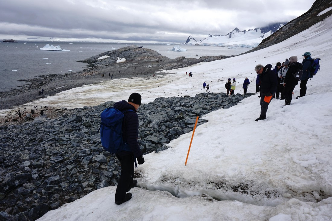 PLA26-26, Day 5, DSC08565.JPG © Unknown Photographer - Oceanwide Expeditions.JPG