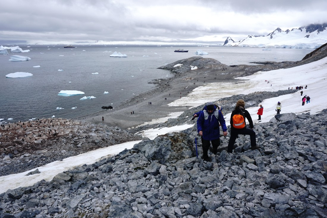 PLA26-26, Day 5, DSC08568.JPG © Unknown Photographer - Oceanwide Expeditions.JPG