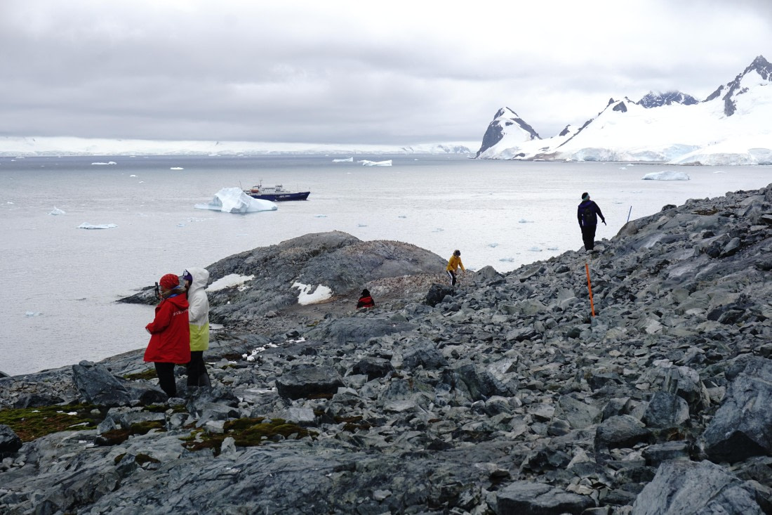 PLA26-26, Day 5, DSC08576.JPG © Unknown Photographer - Oceanwide Expeditions.JPG
