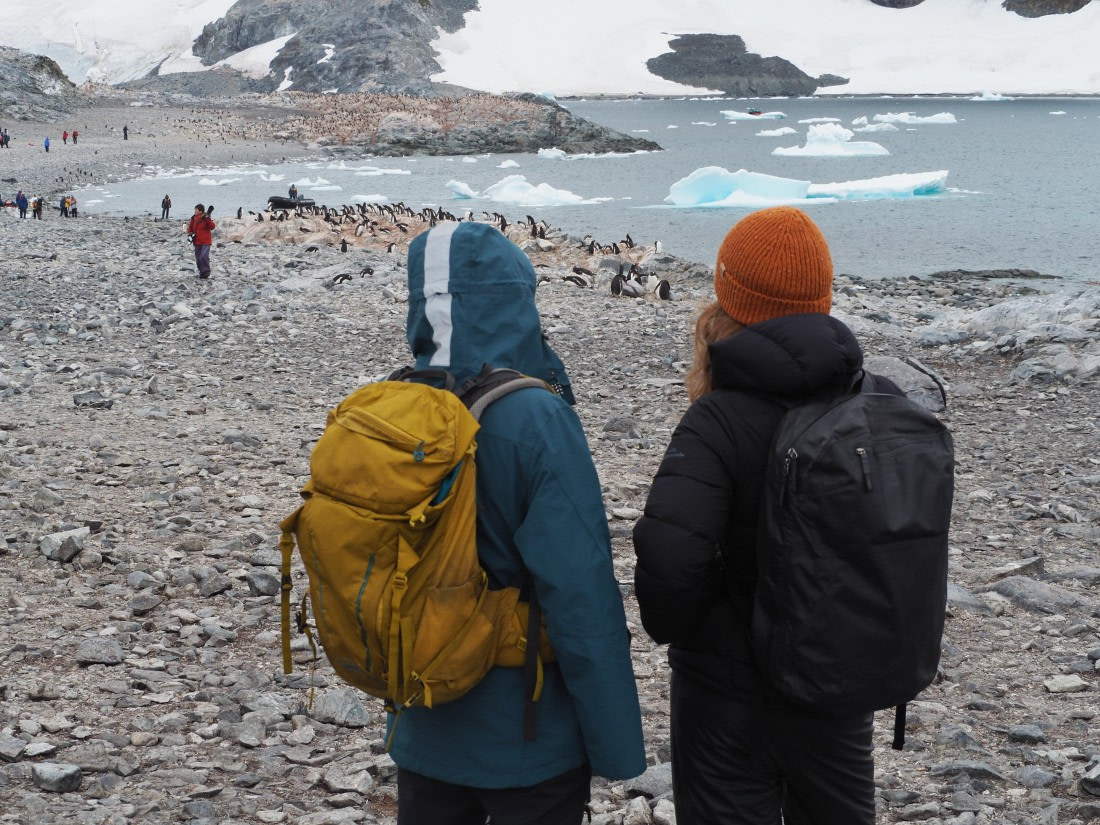 PLA26-26, Day 5, IMG_7764.JPG © Unknown Photographer - Oceanwide Expeditions.JPG