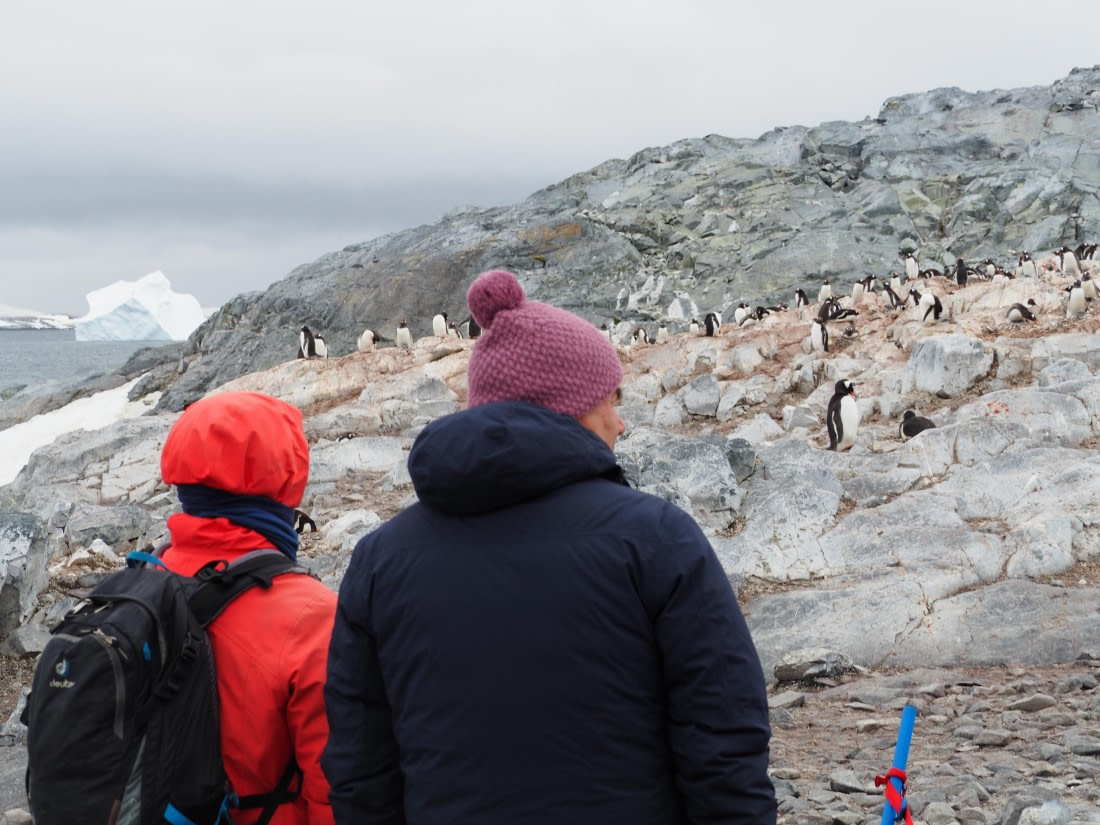 PLA26-26, Day 5, IMG_7765.JPG © Unknown Photographer - Oceanwide Expeditions.JPG