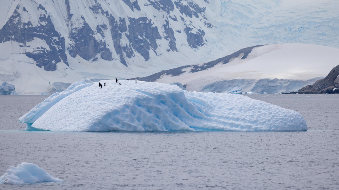 PLA26-26, Day 6, 4Q9A7278.jpg © Unknown Photographer - Oceanwide Expeditions.jpg