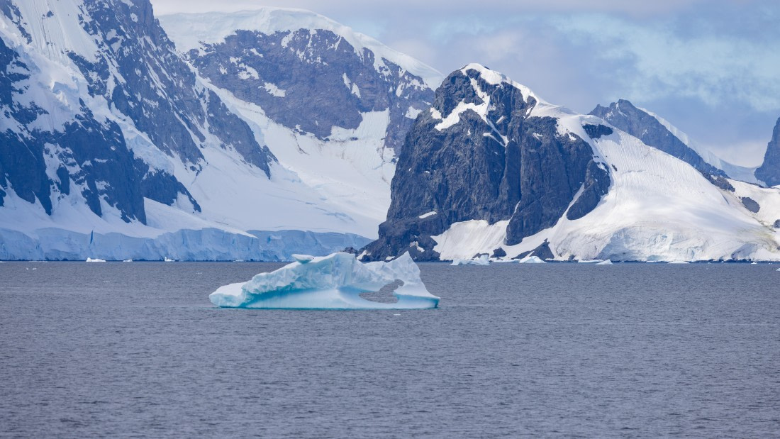 PLA26-26, Day 6, 4Q9A7382-2.jpg © Unknown Photographer - Oceanwide Expeditions.jpg