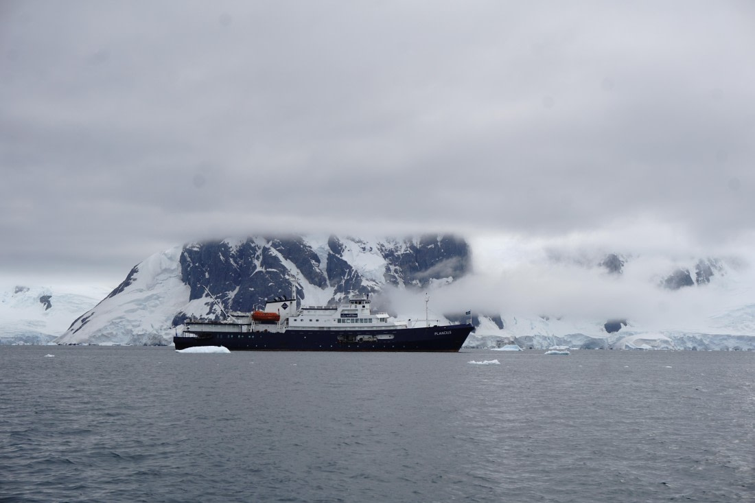PLA26-26, Day 6, DSC08593.JPG © Unknown Photographer - Oceanwide Expeditions.JPG