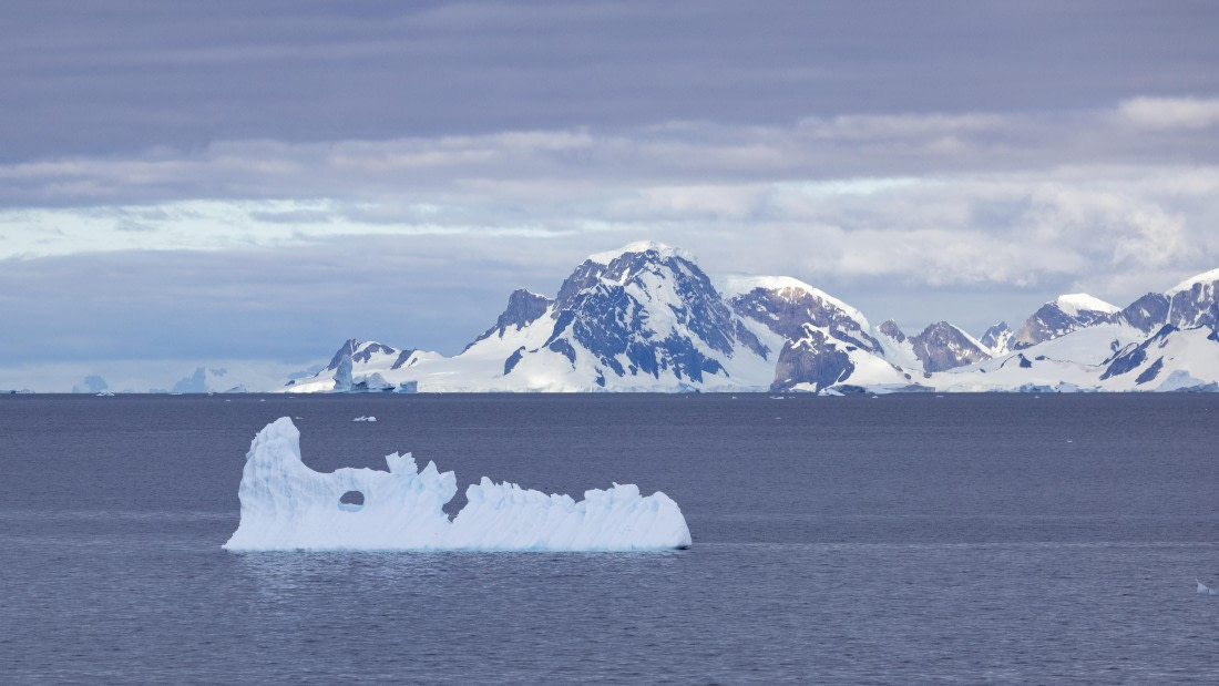 PLA26-26, Day 7, 4Q9A9548.jpg © Unknown Photographer - Oceanwide Expeditions.jpg