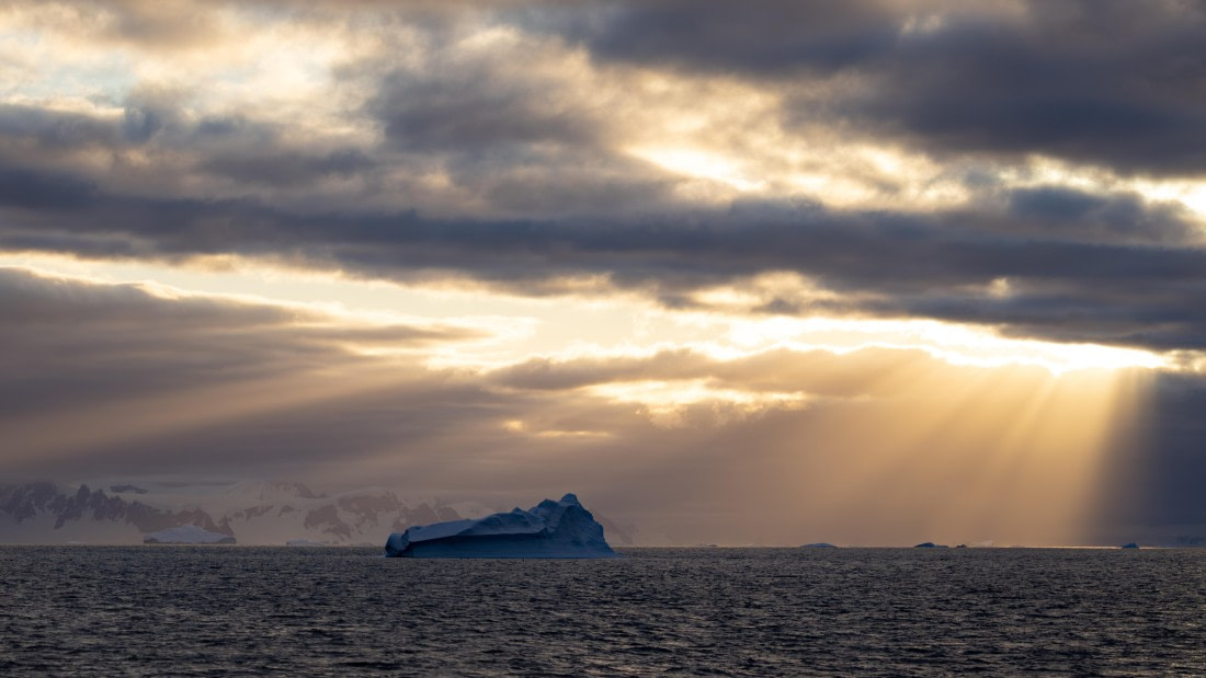 PLA26-26, Day 7, 4Q9A9605.jpg © Unknown Photographer - Oceanwide Expeditions.jpg