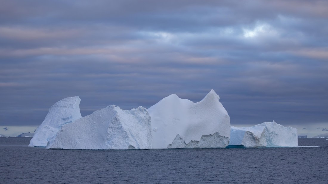 PLA26-26, Day 7, 4Q9A9632.jpg © Unknown Photographer - Oceanwide Expeditions.jpg
