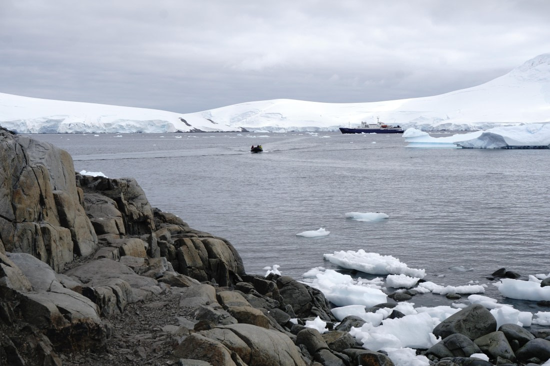 PLA26-26, Day 7, DSC08676.JPG © Unknown Photographer - Oceanwide Expeditions.JPG