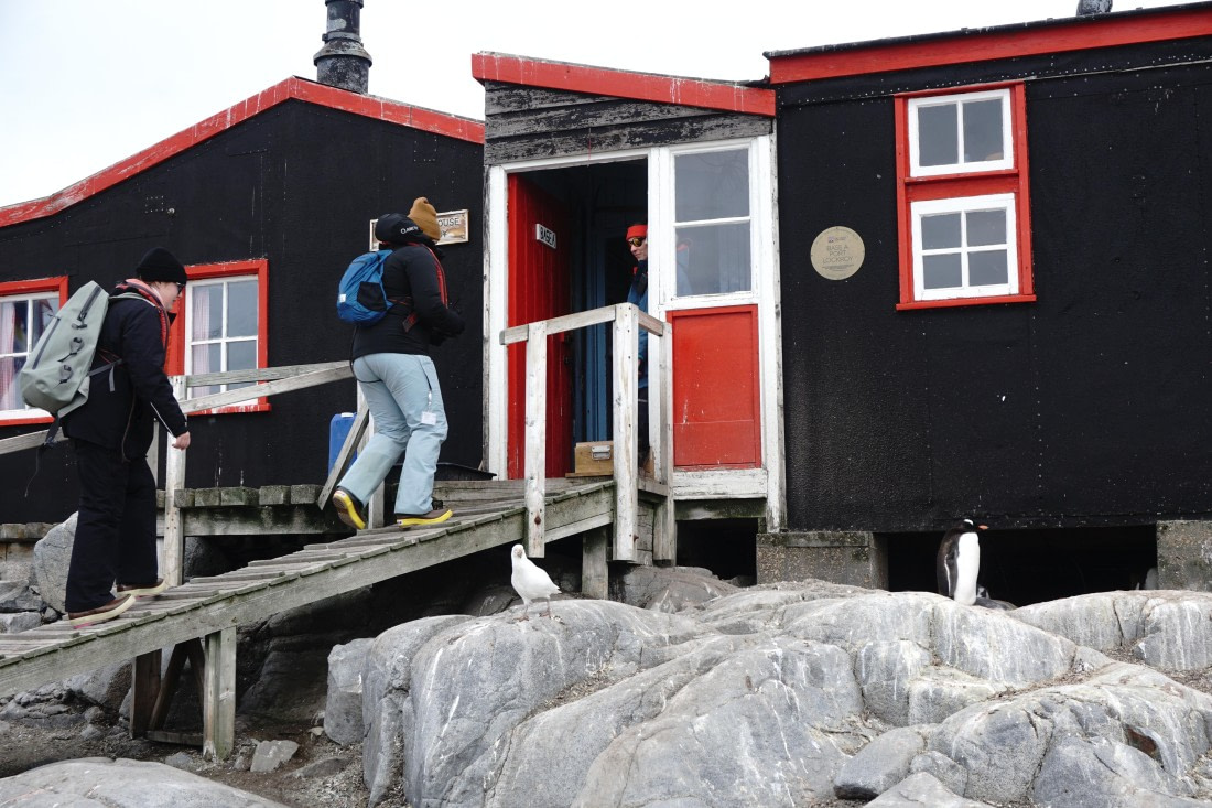 PLA26-26, Day 7, DSC08704.JPG © Unknown Photographer - Oceanwide Expeditions.JPG