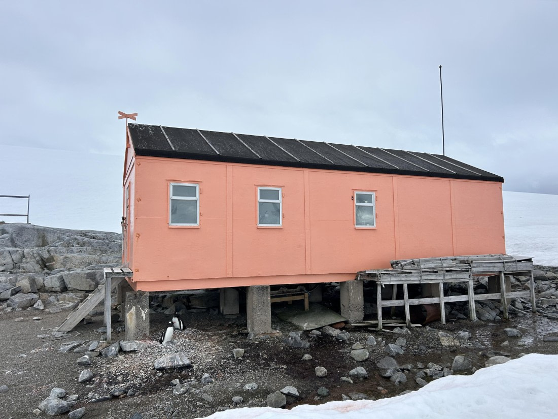 PLA26-26, Day 7, IMG_0689 2.jpeg © Unknown Photographer - Oceanwide Expeditions.jpeg