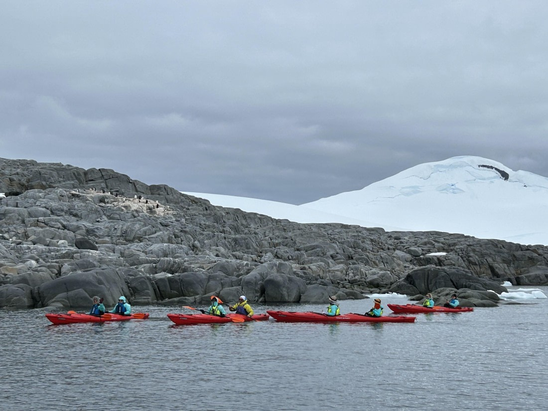 PLA26-26, Day 7, IMG_0702 2.jpeg © Unknown Photographer - Oceanwide Expeditions.jpeg