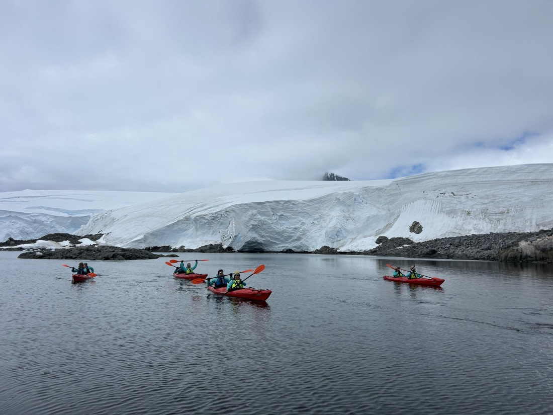 PLA26-26, Day 7, IMG_0707 2.jpeg © Unknown Photographer - Oceanwide Expeditions.jpeg