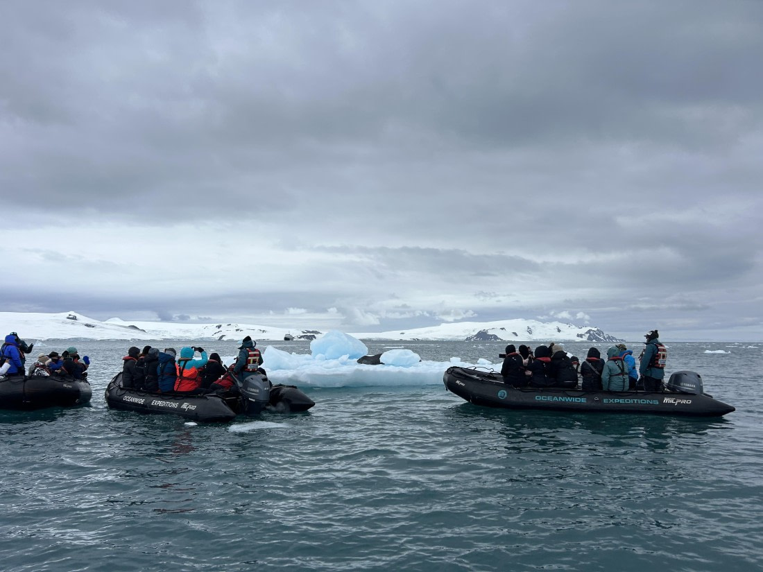 PLA26-26, Day 8, IMG_0784 2.jpeg © Unknown Photographer - Oceanwide Expeditions.jpeg