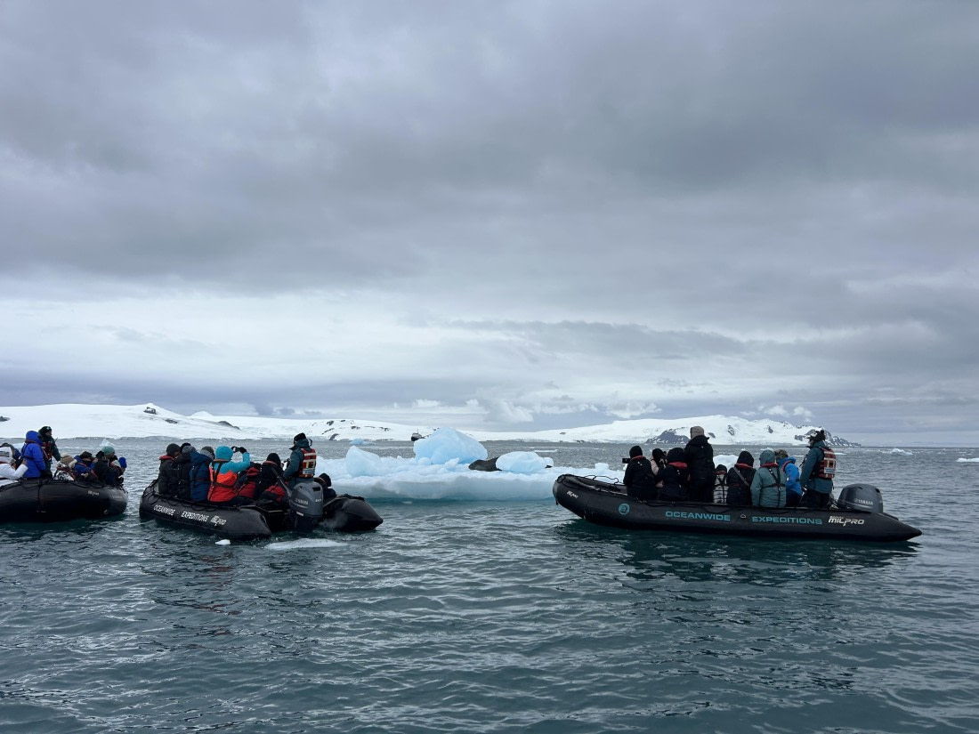 PLA26-26, Day 8, IMG_0785 2.jpeg © Unknown Photographer - Oceanwide Expeditions.jpeg