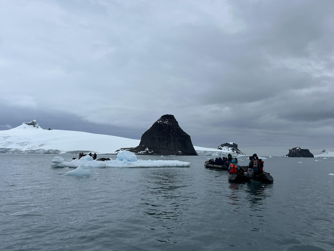 PLA26-26, Day 8, IMG_0789 2.jpeg © Unknown Photographer - Oceanwide Expeditions.jpeg
