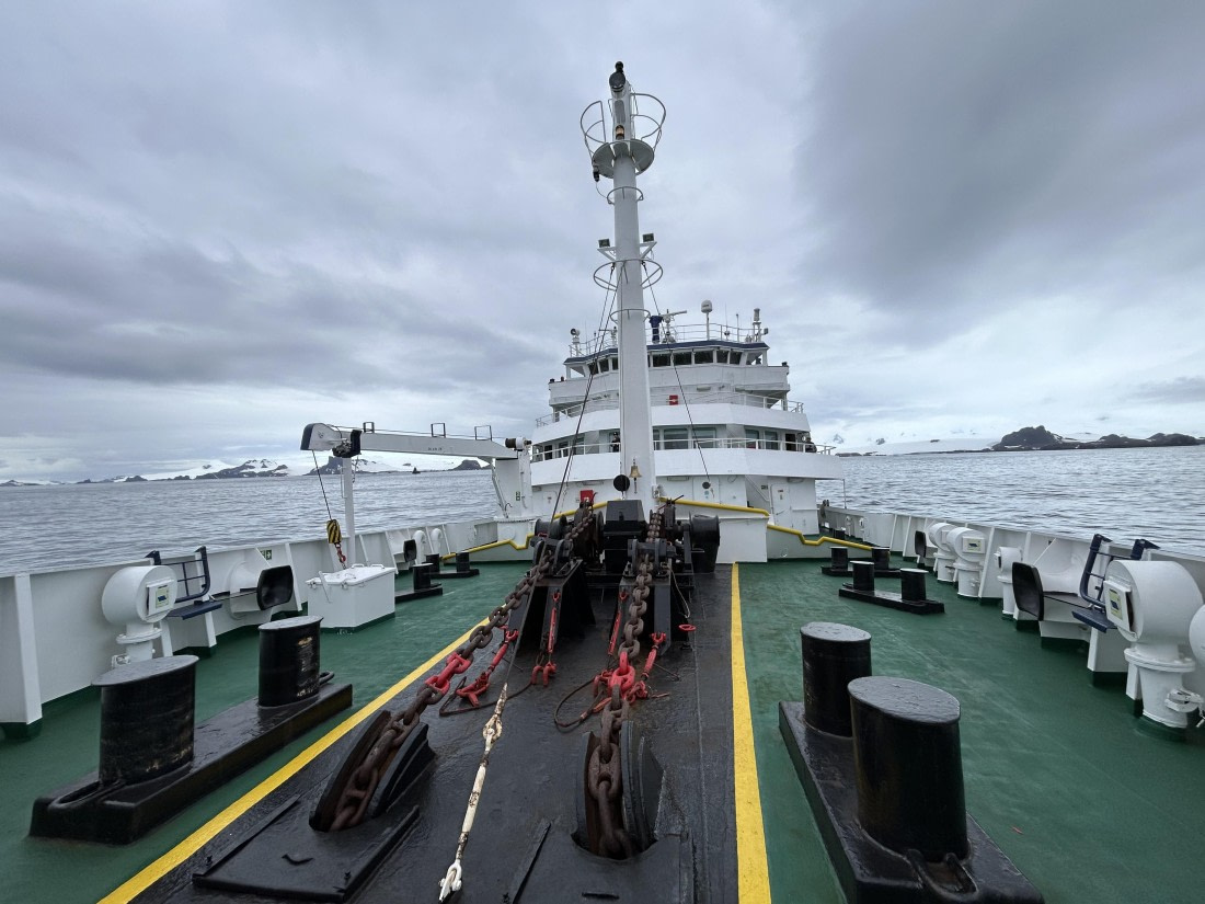 PLA26-26, Day 8, IMG_0826 2.jpeg © Unknown Photographer - Oceanwide Expeditions.jpeg