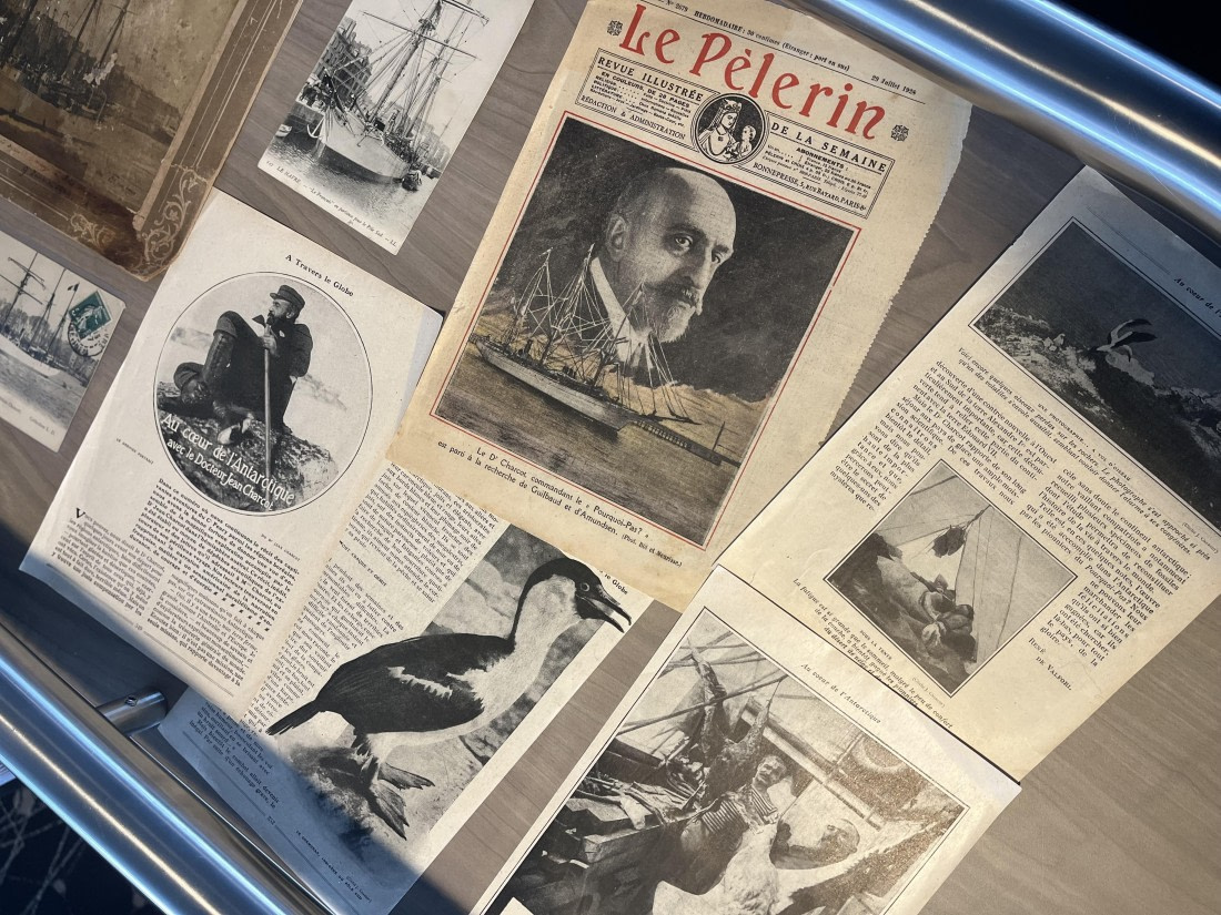 PLA26-26, Day 9, IMG_7991 2.jpeg © Unknown Photographer - Oceanwide Expeditions.jpeg