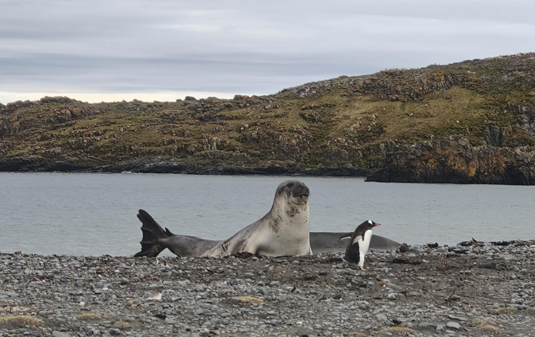 Catch me if you can 🤭