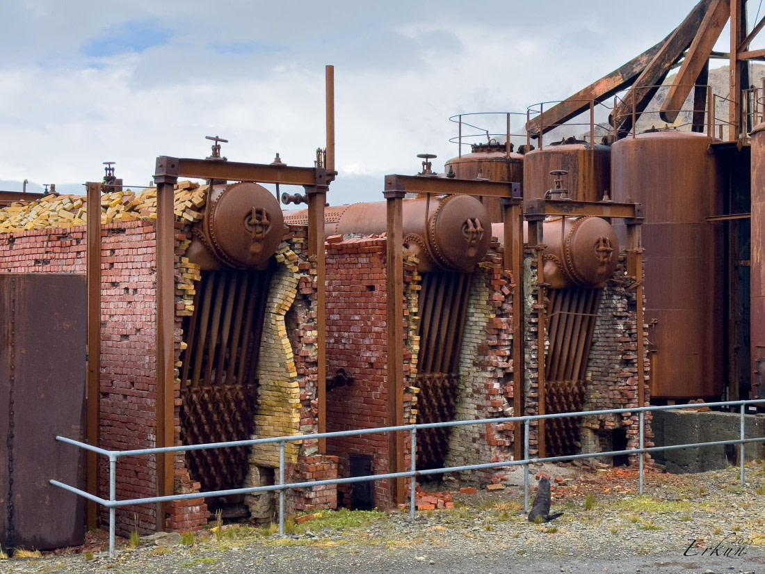 Day 6: Grytviken, South Georgia Island