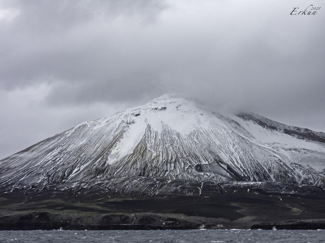 Day 8: Zavadovski Island, South Sandwich Islands