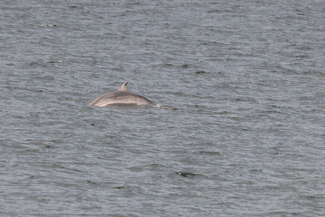 HDS27-26, Day 1, IMG_8560 © Unknown photographer - Oceanwide Expeditions.JPG