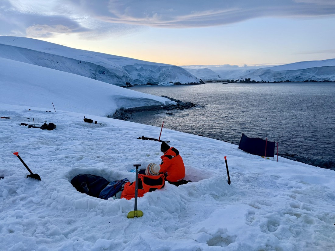 HDS27-26, Day 4, IMG_1951 © Unknown photographer - Oceanwide Expeditions.jpg