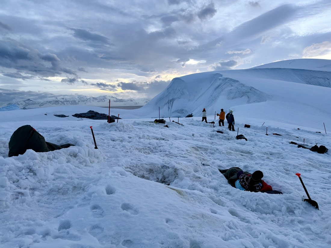 HDS27-26, Day 4, IMG_1952 © Unknown photographer - Oceanwide Expeditions.jpg