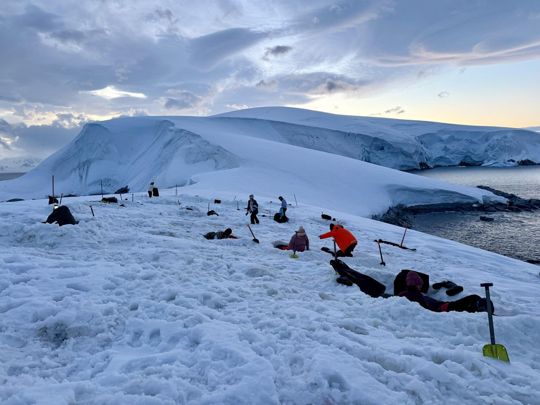 HDS27-26, Day 4, IMG_1955 © Unknown photographer - Oceanwide Expeditions.jpg