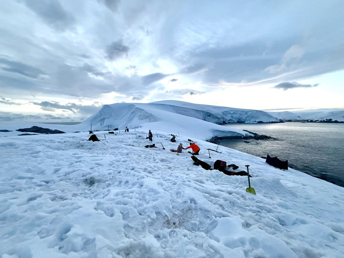 HDS27-26, Day 4, IMG_1956 © Unknown photographer - Oceanwide Expeditions.jpg