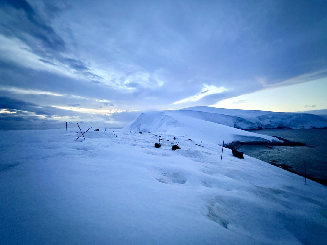 HDS27-26, Day 4, IMG_1959 © Unknown photographer - Oceanwide Expeditions.jpg